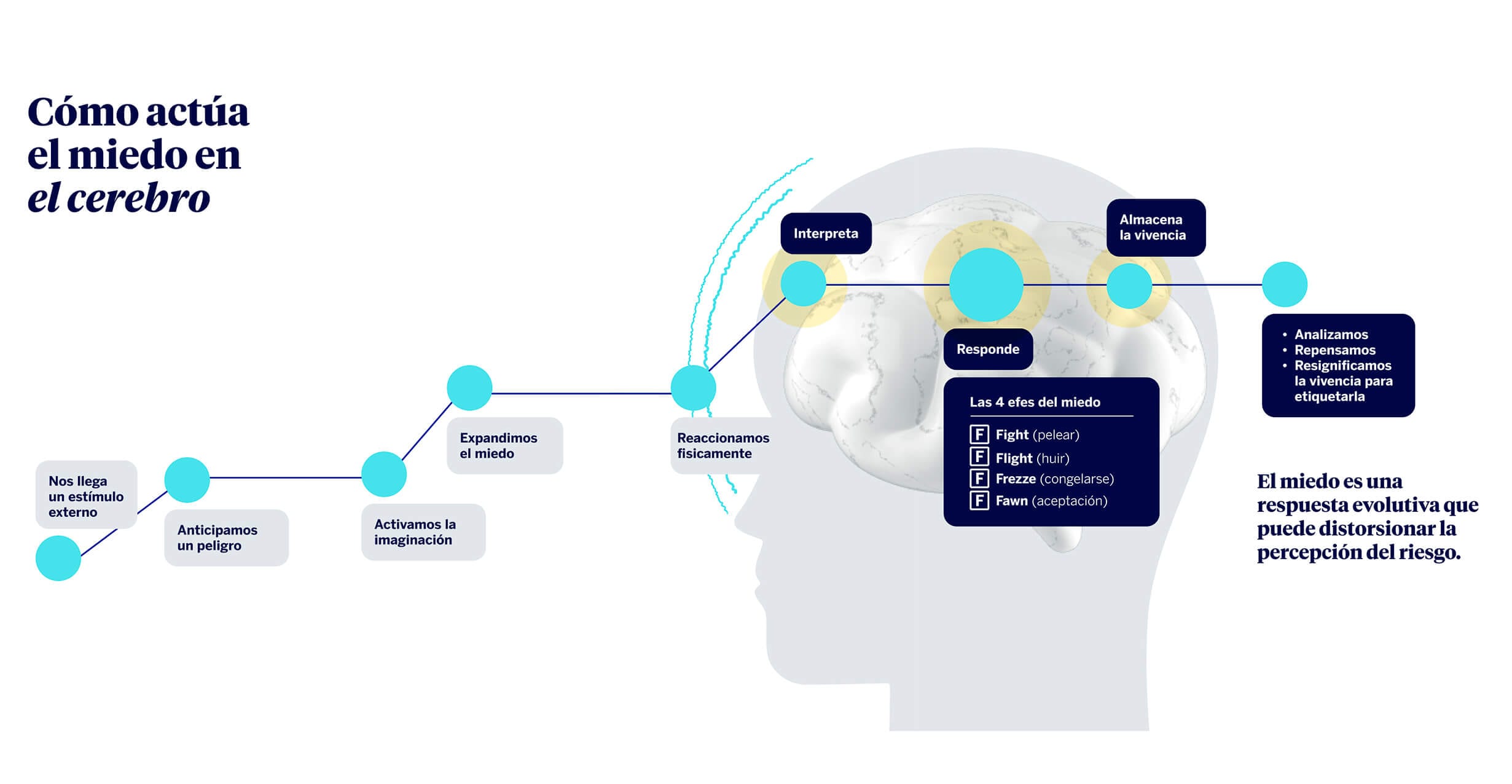 Cómo actúa el miedo en el cerebro