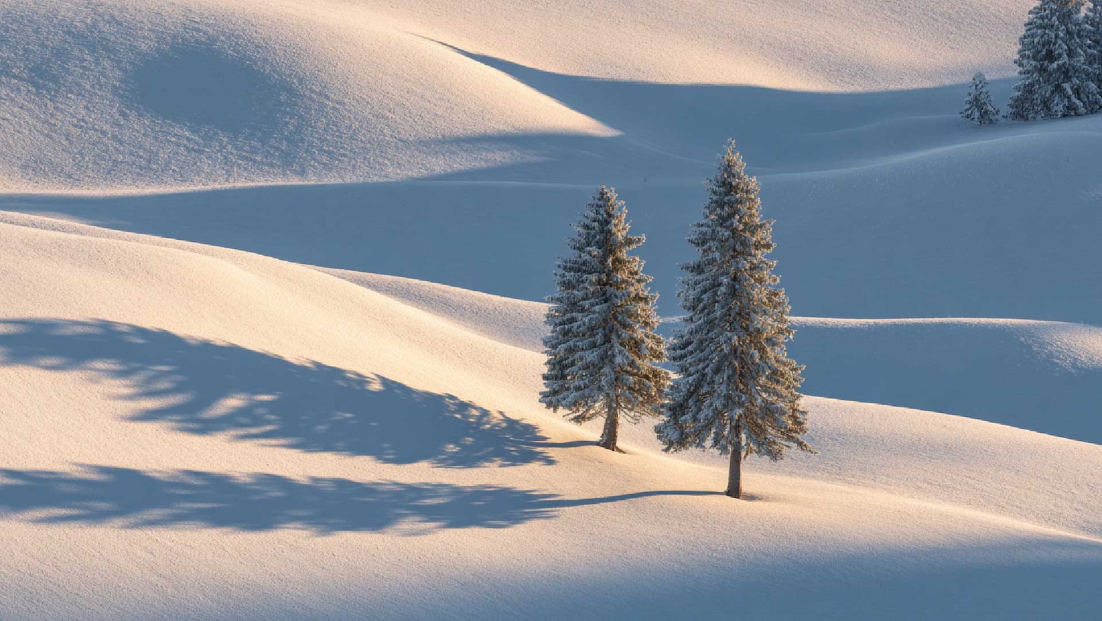 BBVA home in Switzerland