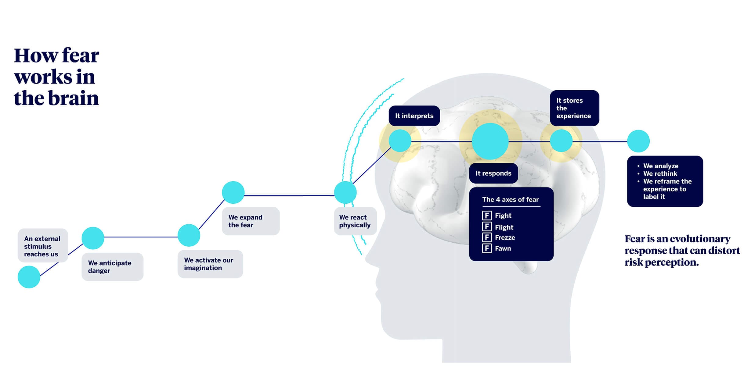 How fear works in the brain