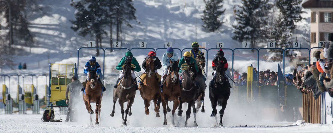 White Turf 2019: Una cita con los caballos y la nieve en Suiza