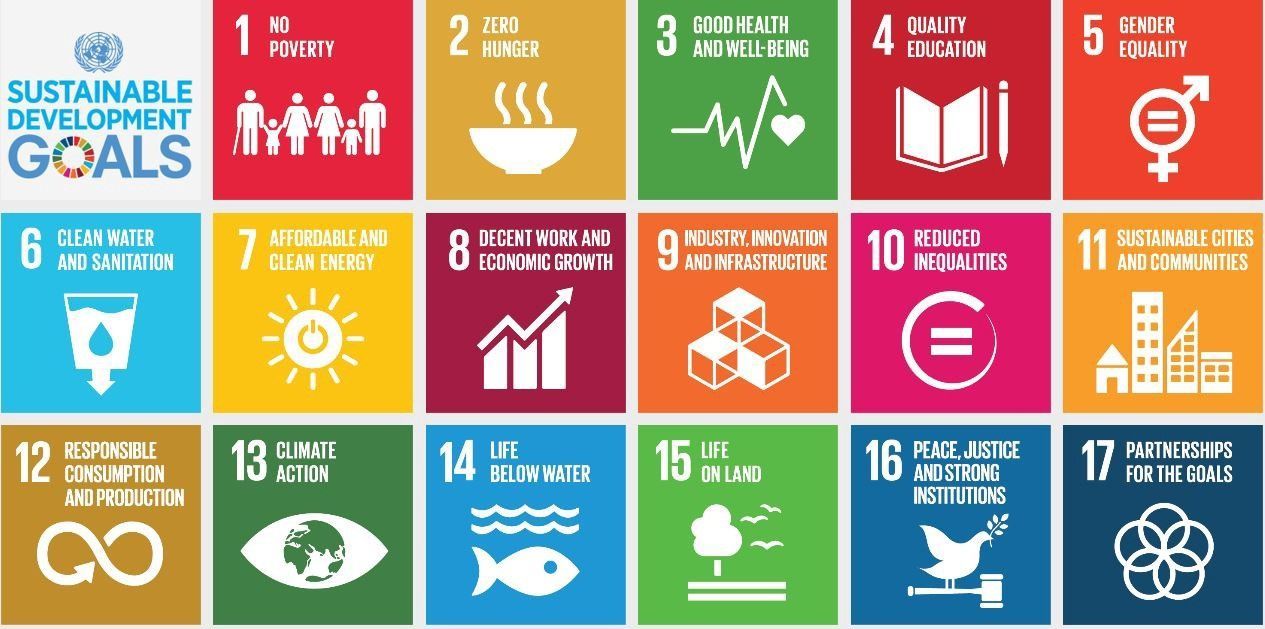 sostenibility goals english
