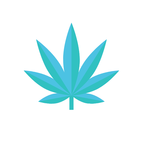 ¿Qué es el Cannabis?