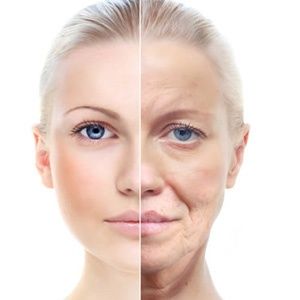 What is aging and what are its main theories?