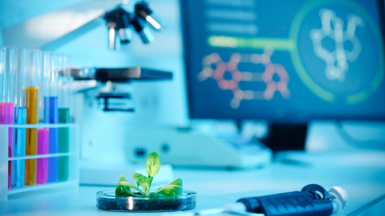Main applications of biotechnology