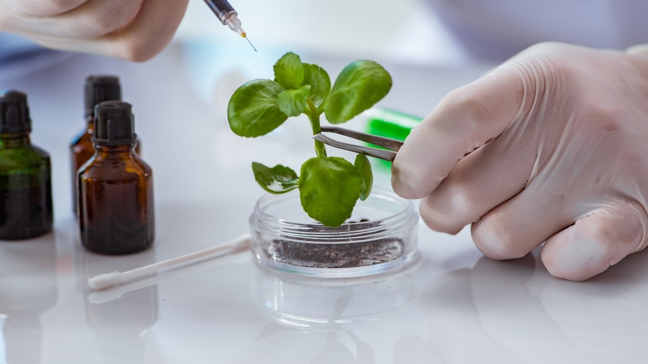 El sector de la biotecnología ofrece grandes ganancias para los inversores