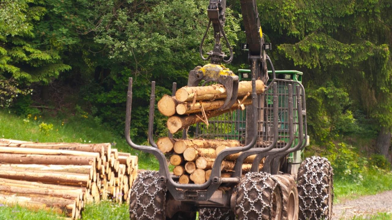 How to invest in the forestry industry and its benefits