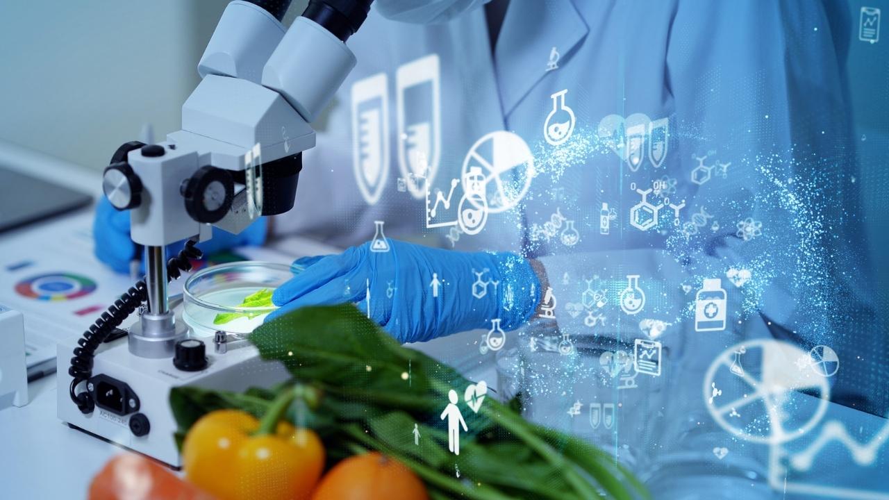 Agribusiness: foodtech and its business opportunities