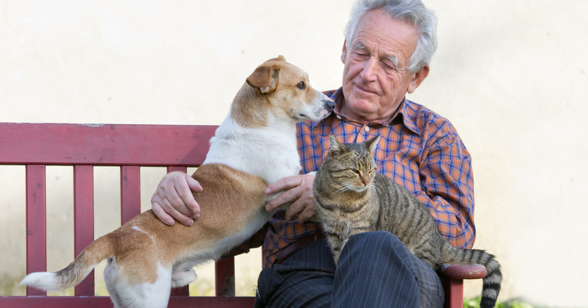 Beneficios de mascotas para personas de la tercera edad