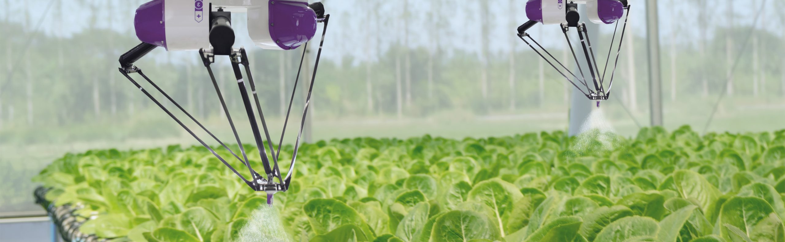 IA y agricultura, llega la smart farming para disparar la producción sostenible